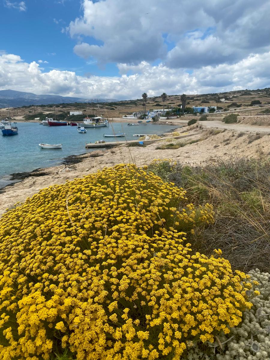 Greek coast
