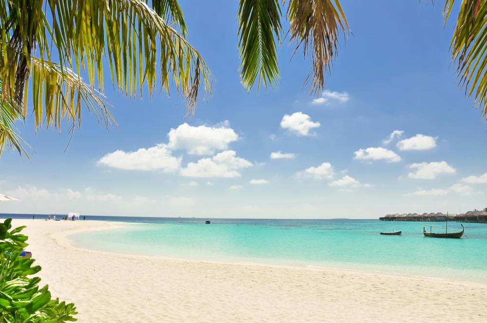 Tropical beach
