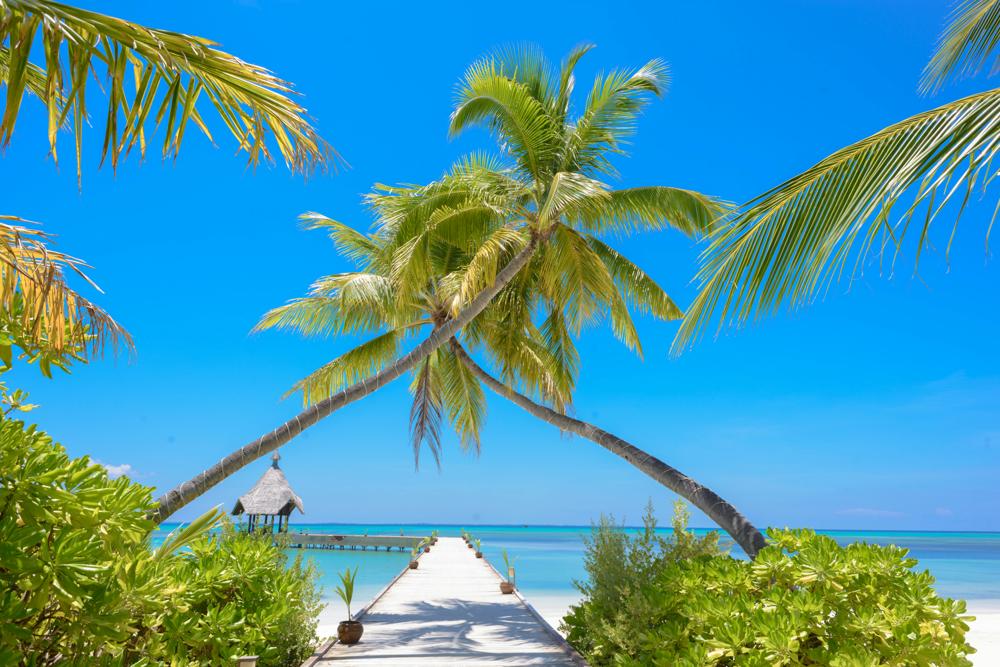 Tropical beach-4cfc48289d924703b471d8ef3d4aedec.jpg Tropical beach