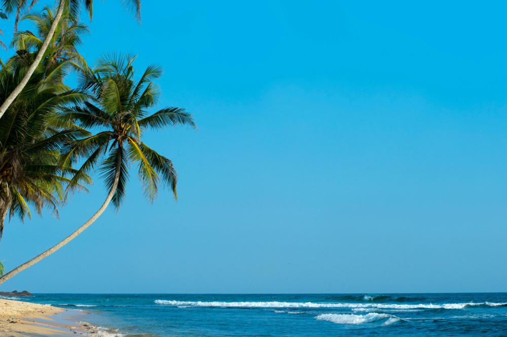 Tropical beach